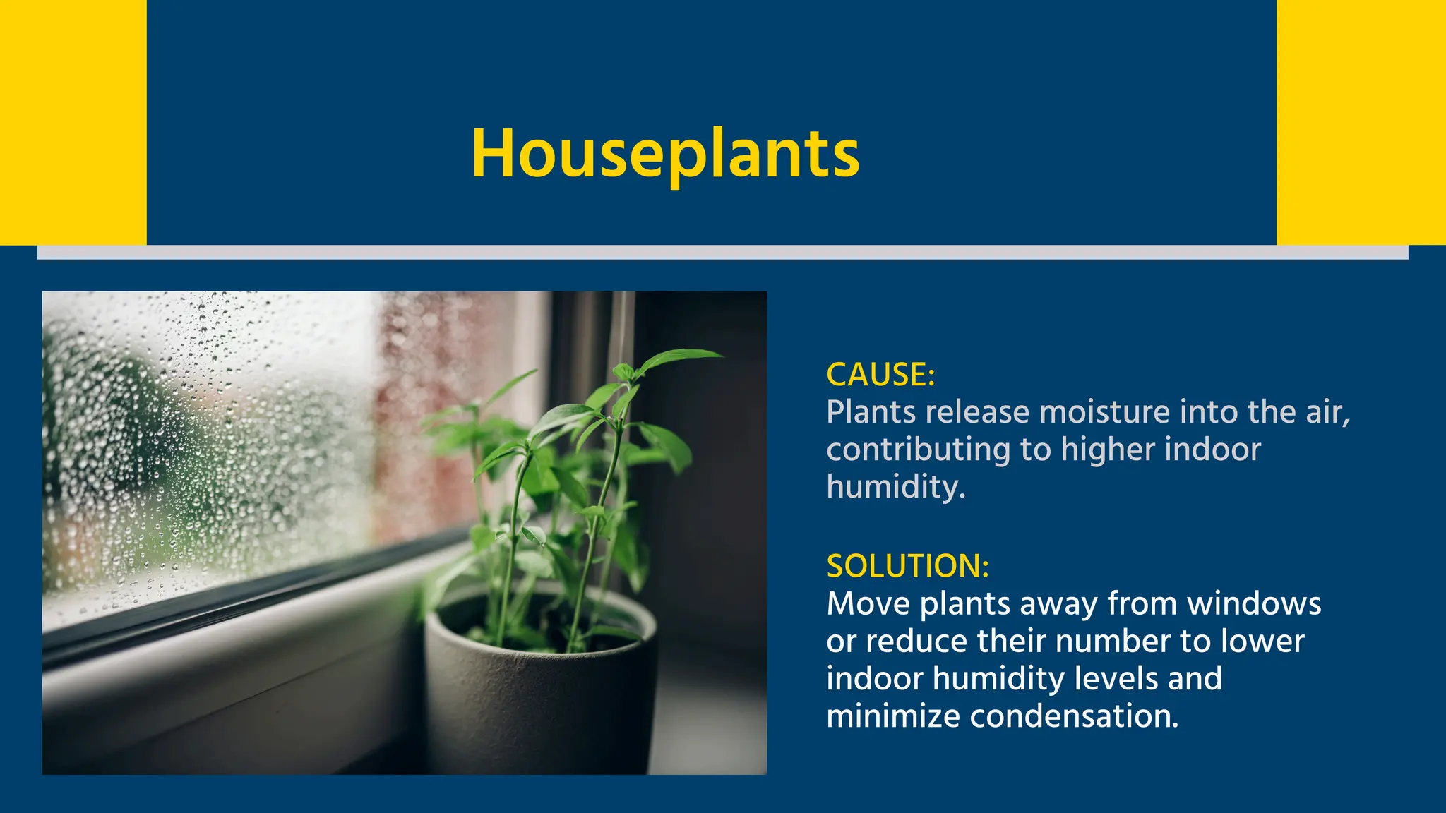 Houseplants
CAUSE:
Plants release moisture into the air,
contributing to higher indoor
humidity.
SOLUTION:
Move plants away from windows
or reduce their number to lower
indoor humidity levels and
minimize condensation.
 