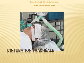 Semestre 4: UE 4.3 soins d'urgence

              Sylvie Pezeril, février 2013




L’INTUBATION TRACHÉALE
 