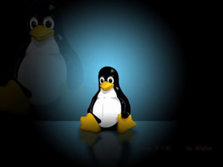 Linux  笨企鹅  by  dogfox 