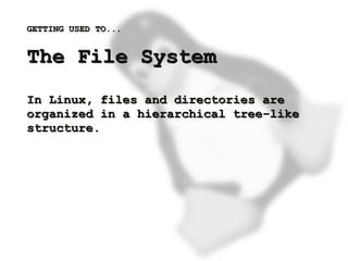 GETTING USED TO...


    The File System
    In Linux, files and directories are
    organized in a hierarchical tree-like
    structure.




                          
 