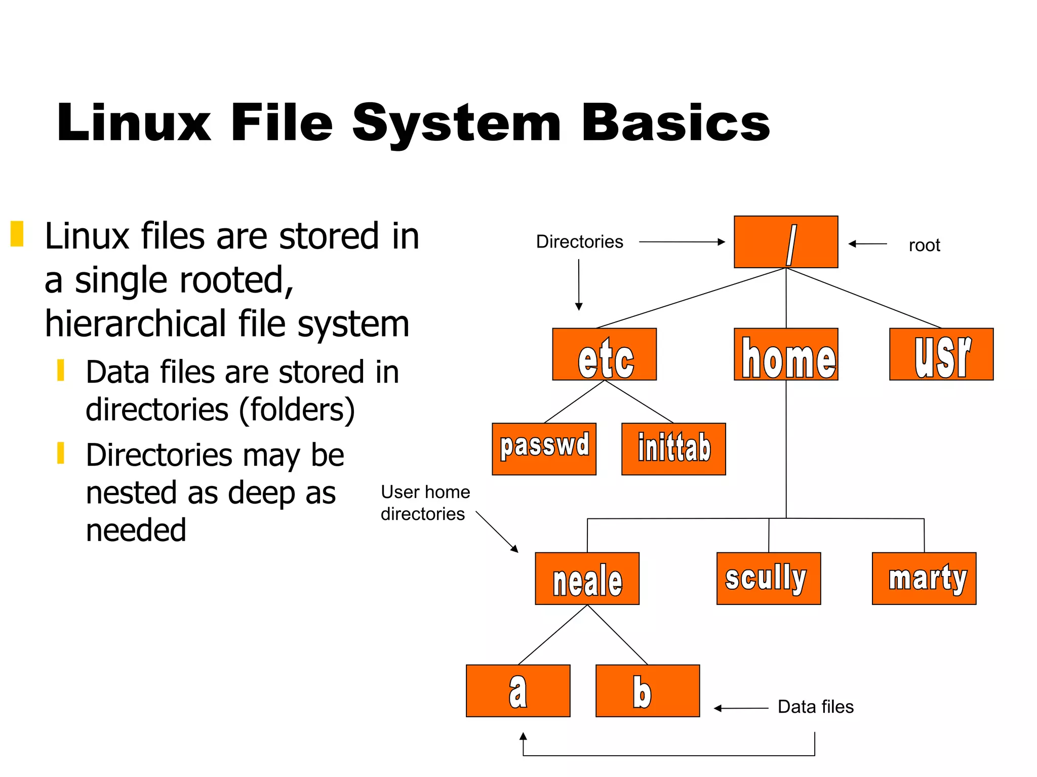 Linux File System Basics Linux files are stored in a single rooted, hierarchical file system Data files are stored in directories (folders) Directories may be nested as deep as needed / etc home usr passwd inittab neale scully marty a b Directories User home directories Data files root 