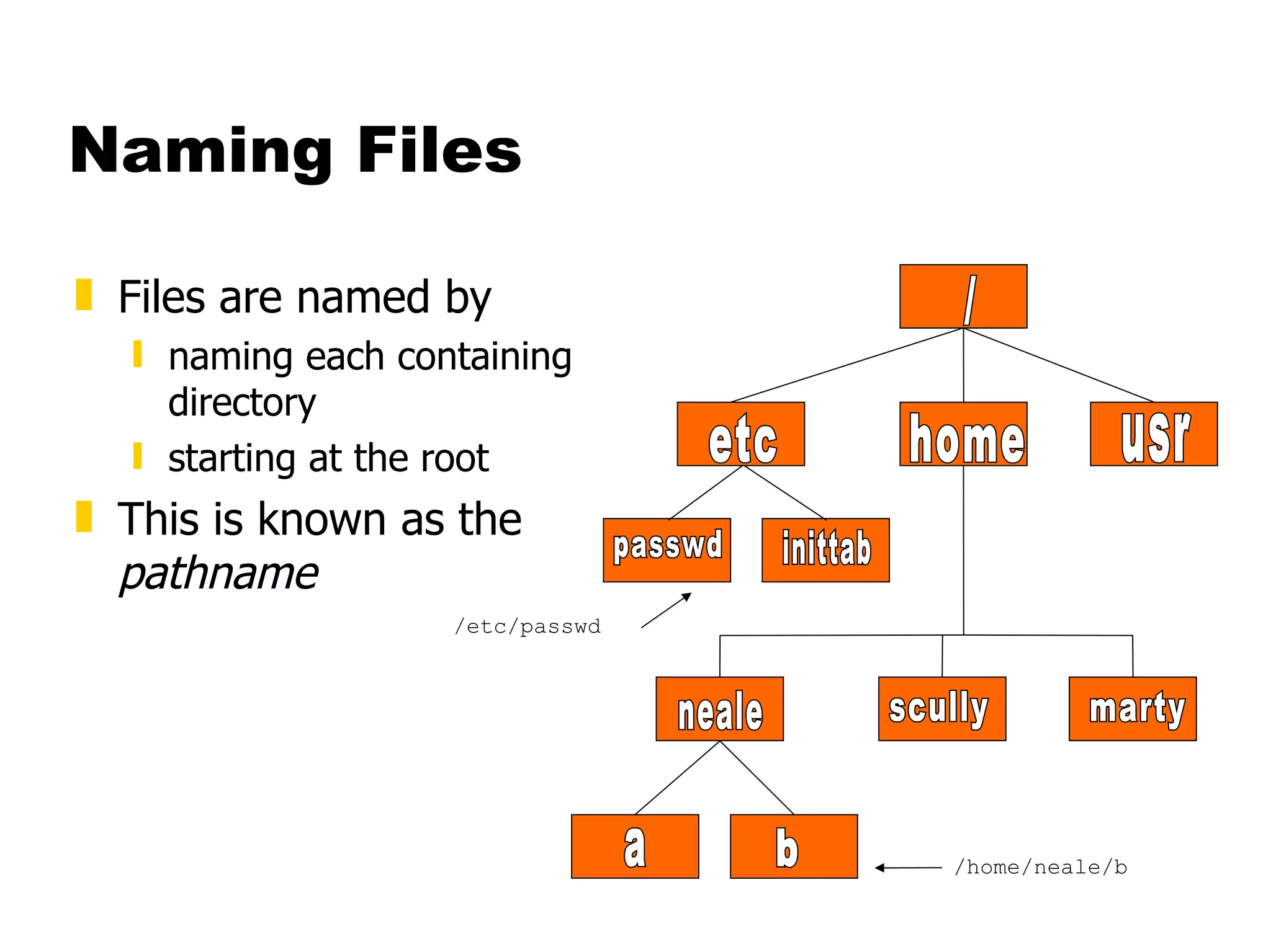 Naming Files Files are named by naming each containing directory starting at the root This is known as the  pathname / etc home usr passwd inittab neale scully marty a b /etc/passwd /home/neale/b 