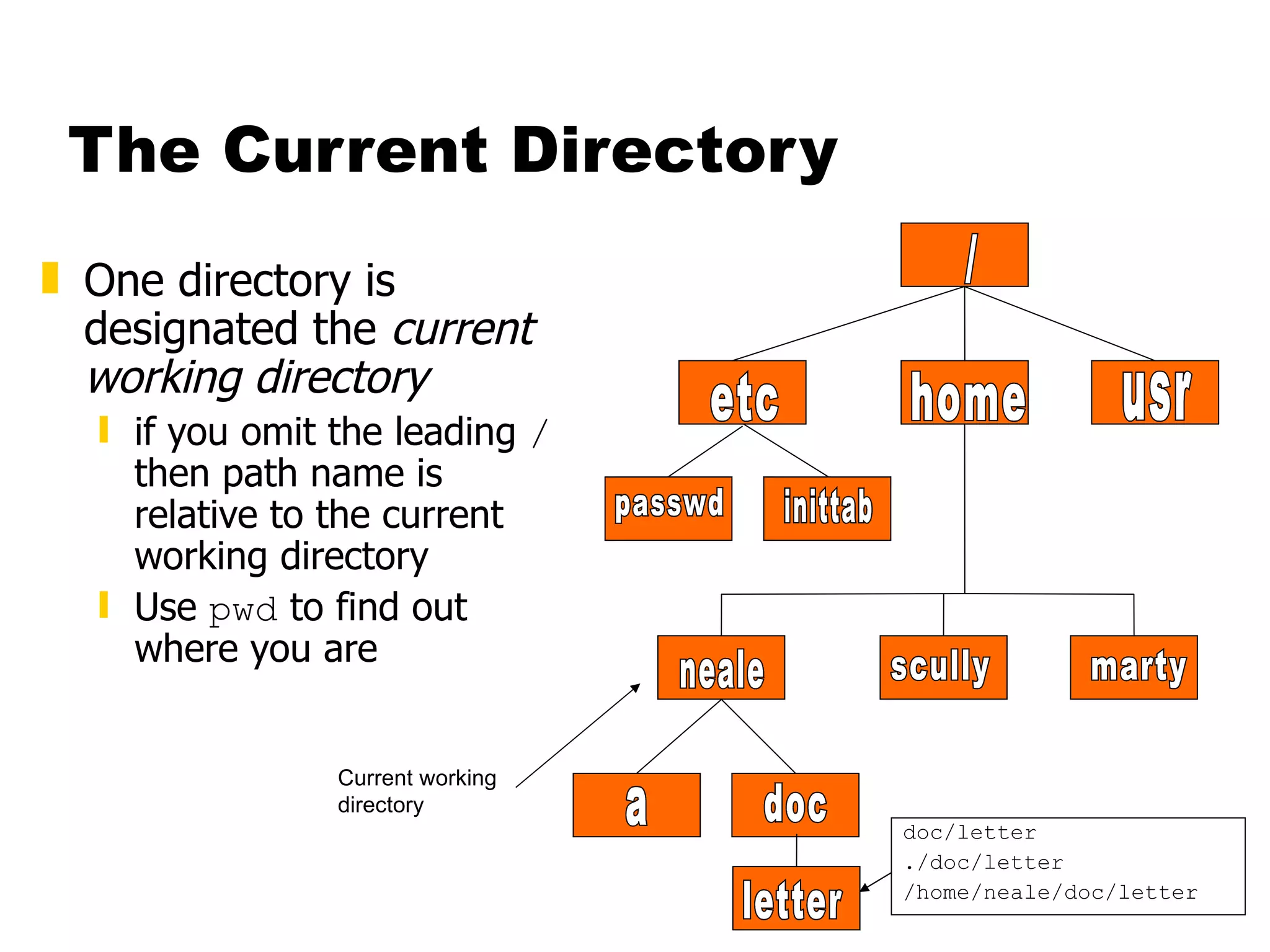 The Current Directory One directory is designated the  current working directory if you omit the leading  /  then path name is relative to the current working directory Use  pwd  to find out where you are letter doc/letter ./doc/letter /home/neale/doc/letter / etc home usr passwd inittab neale scully marty a doc Current working directory 