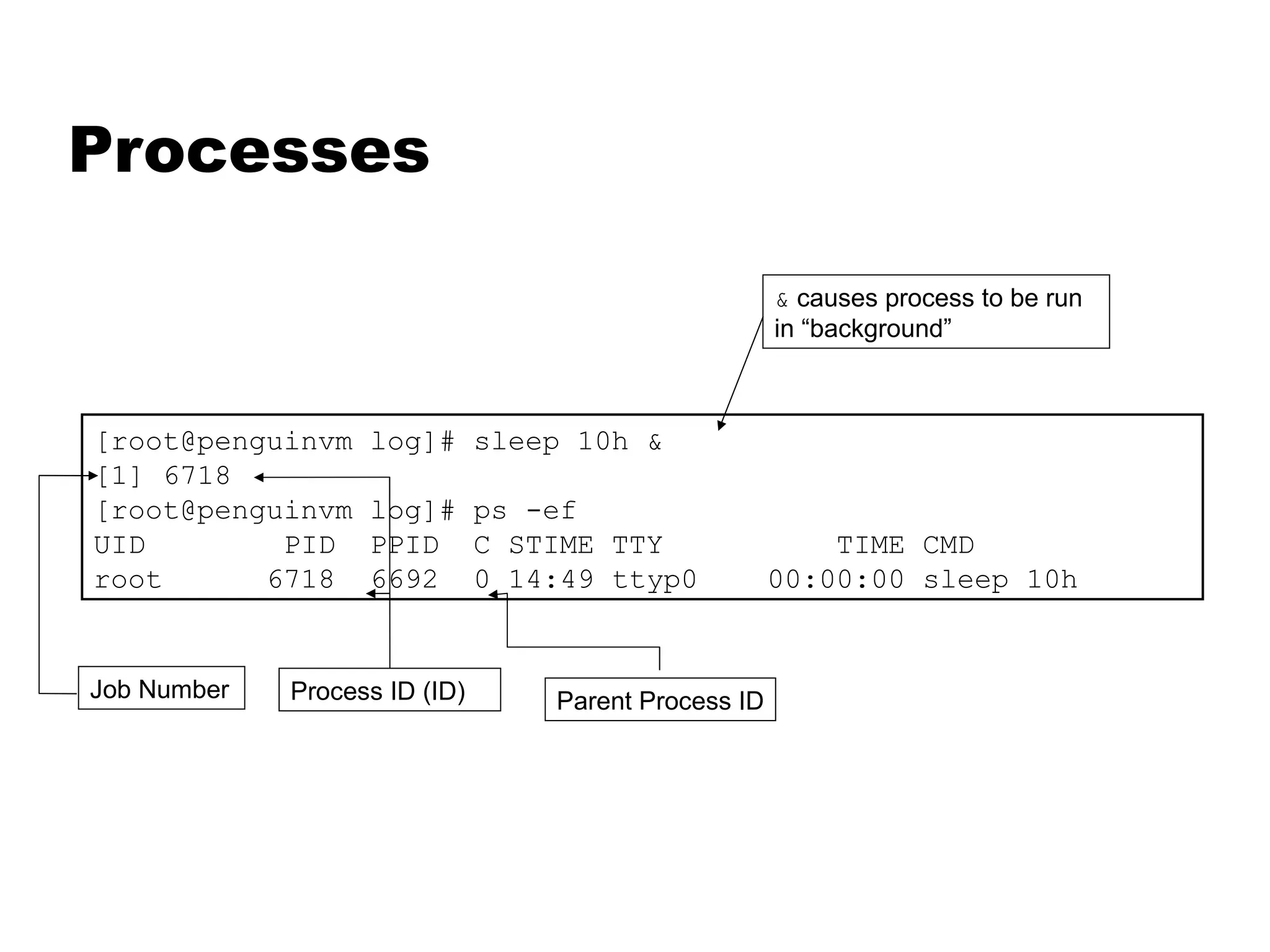 Processes [root@penguinvm log]# sleep 10h & [1] 6718 [root@penguinvm log]# ps -ef UID  PID  PPID  C STIME TTY  TIME CMD root  6718  6692  0 14:49 ttyp0  00:00:00 sleep 10h &  causes process to be run in “background” Job Number Process ID (ID) Parent Process ID 