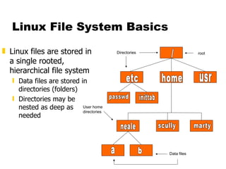 Linux File System Basics Linux files are stored in a single rooted, hierarchical file system Data files are stored in directories (folders) Directories may be nested as deep as needed / etc home usr passwd inittab neale scully marty a b Directories User home directories Data files root 