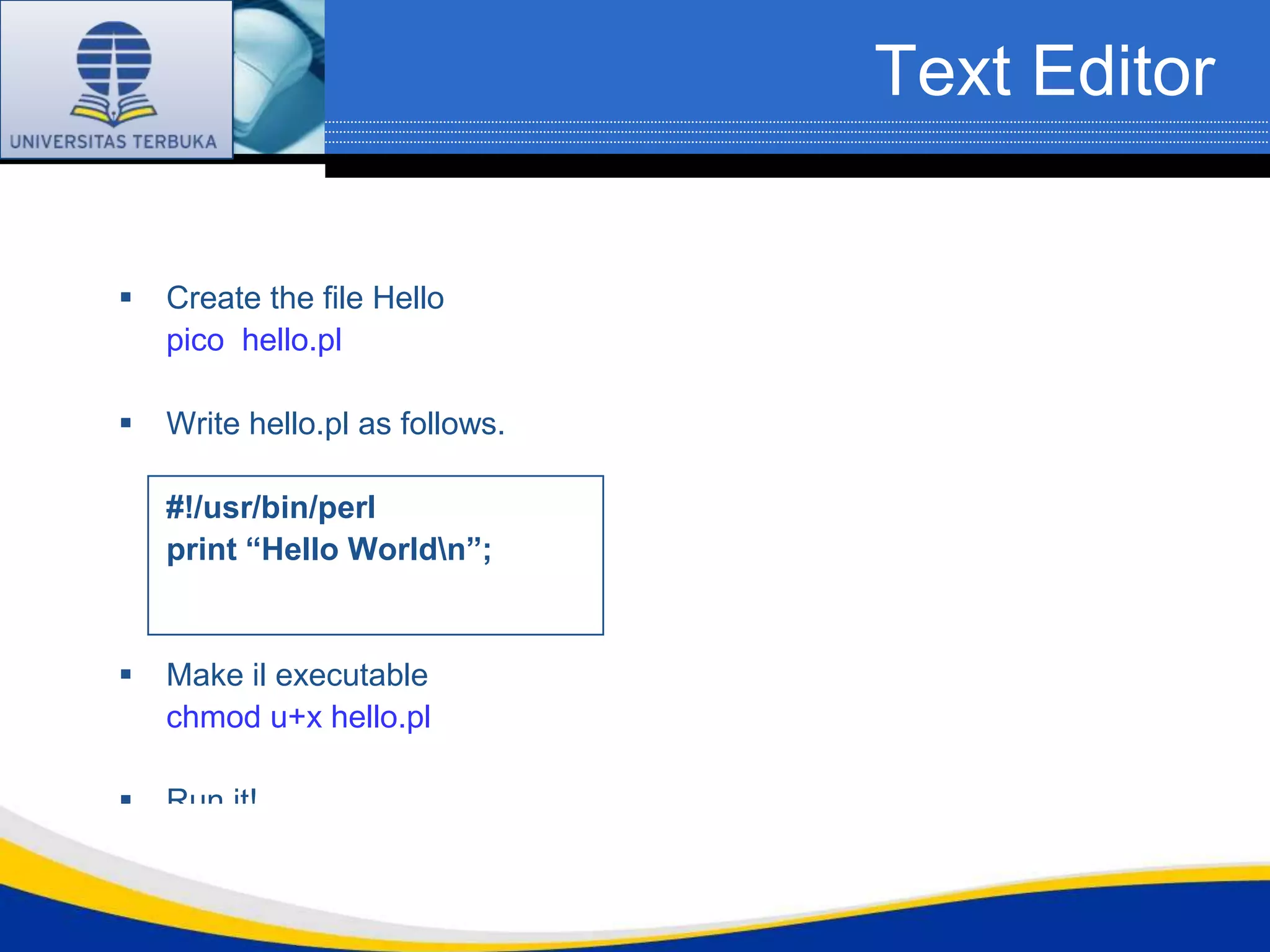 Text Editor


   Create the file Hello
    pico hello.pl

   Write hello.pl as follows.

    #!/usr/bin/perl
    print “Hello Worldn”;


   Make il executable
    chmod u+x hello.pl

   Run it!
    ./hello.pl
 