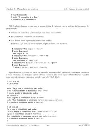 Capítulo 5. Manipulação de variáveis                                  5.2. Criação de uma variável


      $ var=Pensamento
      $ echo O conteúdo é o $var
      O conteúdo é o Pensamento


   Vale lembrar algumas regras para a nomenclatura de variáveis que se aplicam às linguagens de
programação:

   • O nome da variável só pode começar com letras ou underline.

   • São permitidos caracteres alfanuméricos.

   • Não devem haver espaços em branco nem acentos.
     Exemplo: Veja o uso de aspas simples, duplas e crases com variáveis:

      $ variavel=Meu login é: $user
      $ echo $variavel
       Meu login é: ze
      $ variavel='Meu hostname é: $HOSTNAME'
      $ echo $variavel
       Meu hostname é: $HOSTNAME
      $ variavel=O diretorio de trabalho é: `pwd`
      $ echo $variavel
       O diretorio de trabalho é: /home/ze

    Quando vamos executar um script ou comando, um outro shell é chamado, executa os comandos
e então retorna ao shell original onde foi feita a chamada. Por isso é importante lembrar de exportar
suas variáveis para que elas sejam reconhecidas pelo shell lho.

 $ cat dir.sh
 #!/bin/bash

 echo Veja que o diretório vai mudar
 echo Inicialmente o diretório era: $PWD
 # neste ponto o diretorio mudou
 cd /usr/bin
 echo Agora o diretório atual é $PWD
 echo Mas terminado o programa parece que nada aconteceu.
 O diretório continua sendo o inicial.

 $ sh dir.sh
 Veja que o diretório vai mudar
 Inicialmente o diretório era: /home/kurumin/scripts
 Agora o diretório atual é /usr/bin
 Mas terminado o programa parece que nada aconteceu.
 O diretório continua sendo o inicial.
 $

Universidade Federal Fluminense                  60                                     PETTELE)))
 