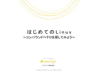はじめてのLinux
～コンパウンドヘテロを探してみよう～




    Copyright © Amelieff Co. Ltd. All Rights Reserved.
 