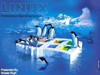 Professional Operating System
 