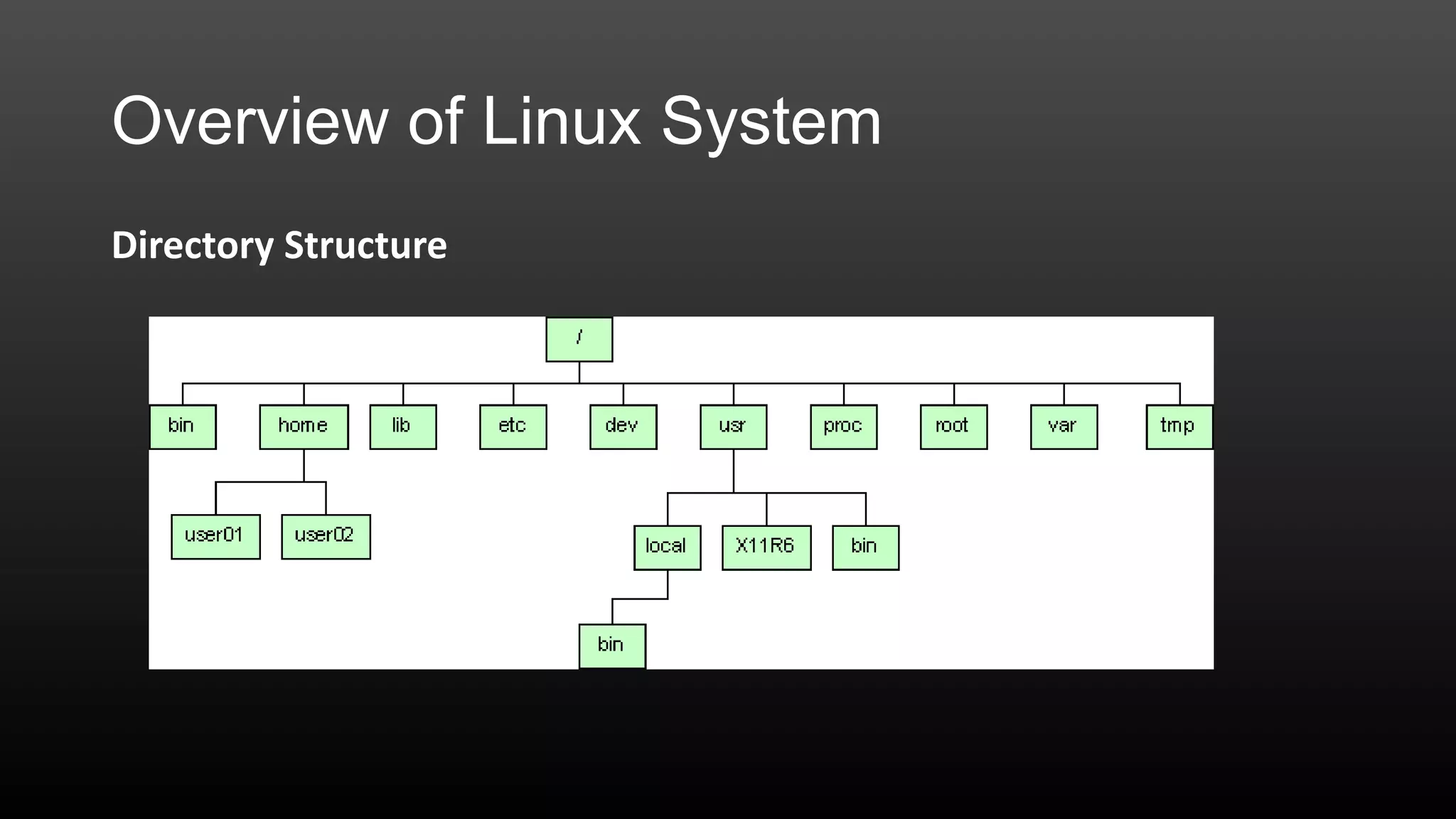 Overview of Linux System
Directory Structure

 