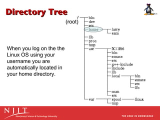 Directory Tree
(root)

When you log on the the
Linux OS using your
username you are
automatically located in
your home directory.

 