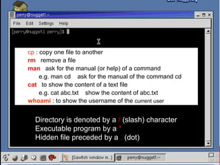 cp : copy one file to another
rm : remove a file
man : ask for the manual (or help) of a command
e.g. man cd ask for the manual of the command cd
cat : to show the content of a text file
e.g. cat abc.txt show the content of abc.txt
whoami : to show the username of the current user

Directory is denoted by a / (slash) character
Executable program by a *
Hidden file preceded by a . (dot)

 