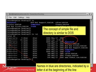 The concept of simple file and
directory is similar to DOS

Names in blue are directories, indicated by a
letter d at the beginning of the line

 
