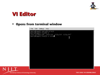 VI Editor
• Opens from terminal window

 