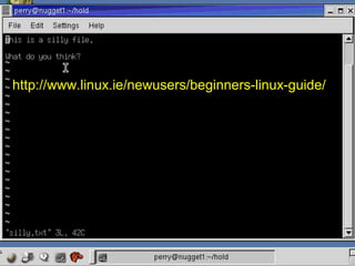 http://www.linux.ie/newusers/beginners-linux-guide/

 