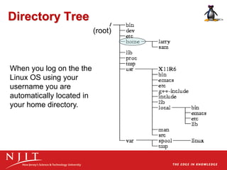 Directory Tree
(root)
When you log on the the
Linux OS using your
username you are
automatically located in
your home directory.
 