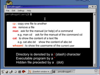 cp : copy one file to another
rm : remove a file
man : ask for the manual (or help) of a command
e.g. man cd ask for the manual of the command cd
cat : to show the content of a text file
e.g. cat abc.txt show the content of abc.txt
whoami : to show the username of the current user
Directory is denoted by a / (slash) character
Executable program by a *
Hidden file preceded by a . (dot)
 