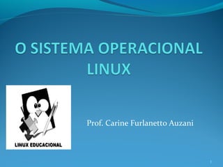Prof. Carine Furlanetto Auzani
1
 