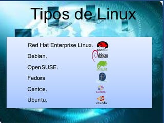 Tipos de Linux
Red Hat Enterprise Linux.
Debian.
OpenSUSE.
Fedora
Centos.
Ubuntu.
 