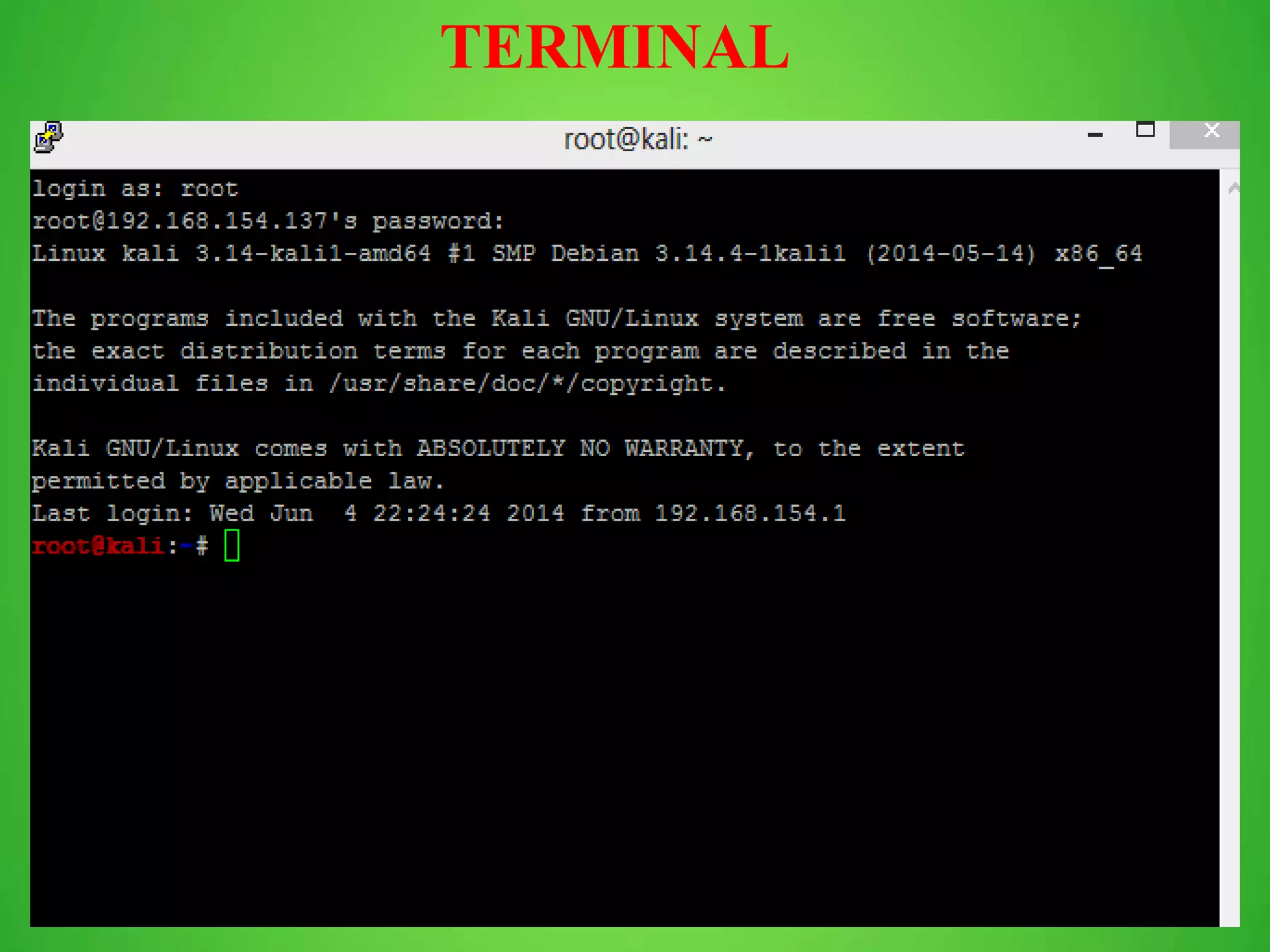 TERMINAL 