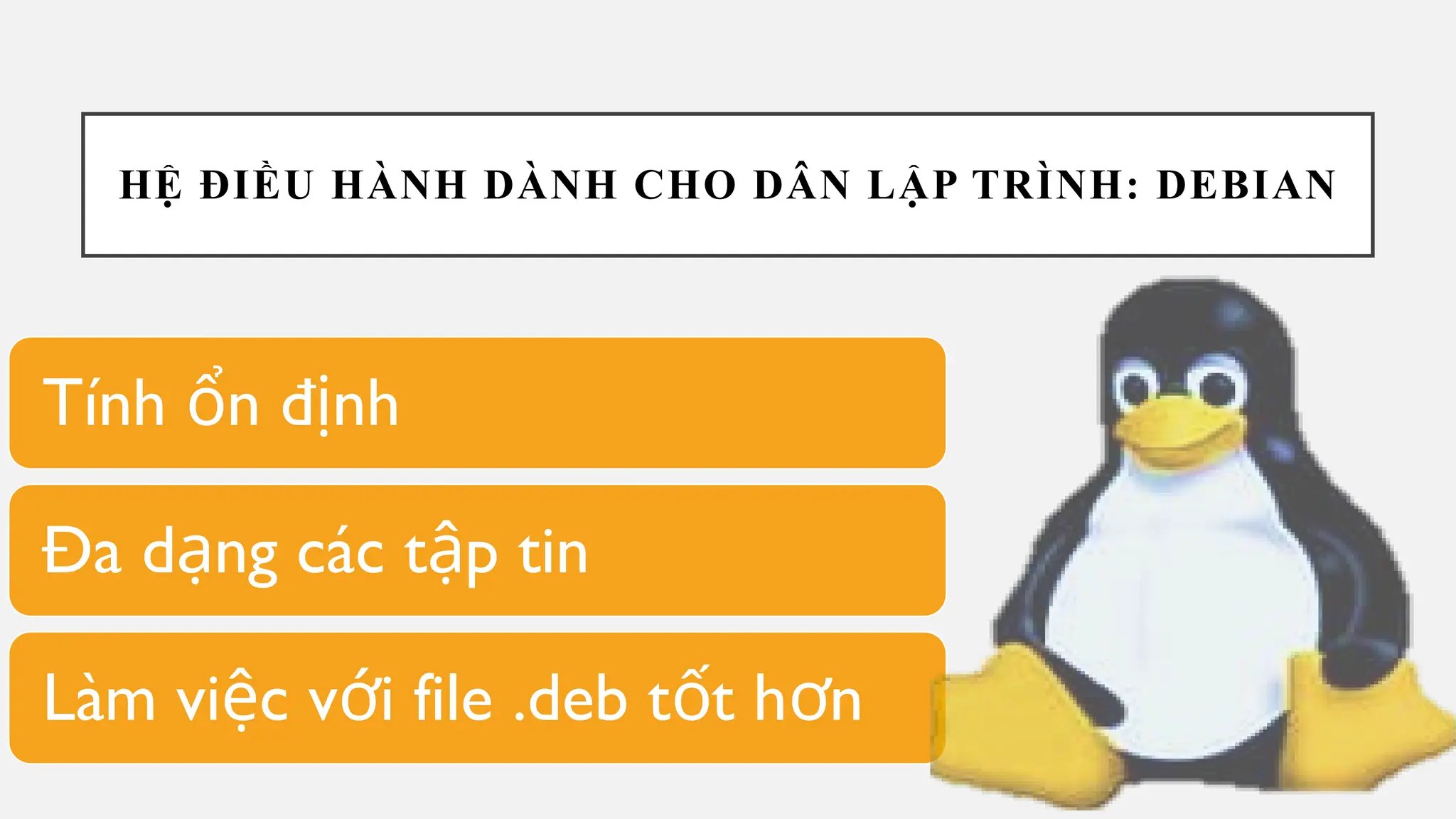 HỆ ĐIỀU HÀNH DÀNH CHO DÂN LẬP TRÌNH: DEBIAN
Tính n đ nh
ổ ị
Đa d ng các t p tin
ạ ậ
Làm vi c v i file .deb t t h n
ệ ớ ố ơ
 