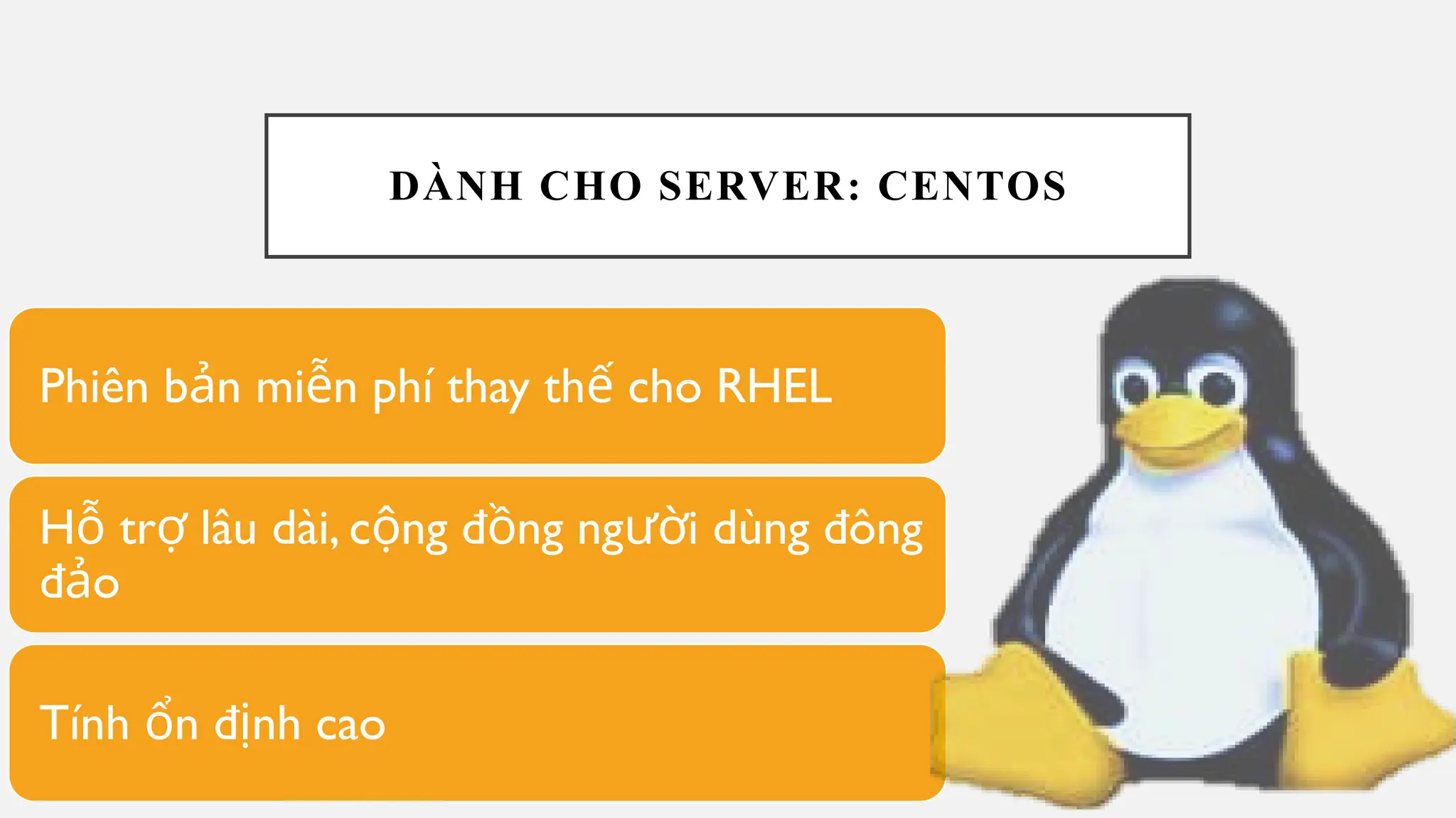 DÀNH CHO SERVER: CENTOS
Phiên b n mi n phí thay th cho RHEL
ả ễ ế
H tr lâu dài, c ng đ ng ng i dùng đông
ỗ ợ ộ ồ ườ
đ o
ả
Tính n đ nh cao
ổ ị
 