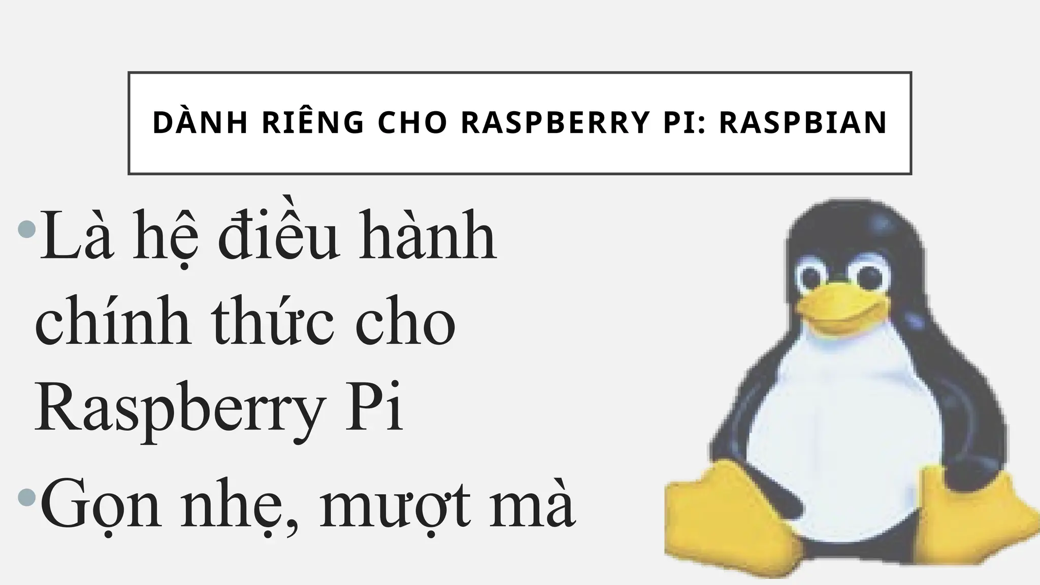 DÀNH RIÊNG CHO RASPBERRY PI: RASPBIAN
•Là hệ điều hành
chính thức cho
Raspberry Pi
•Gọn nhẹ, mượt mà
 