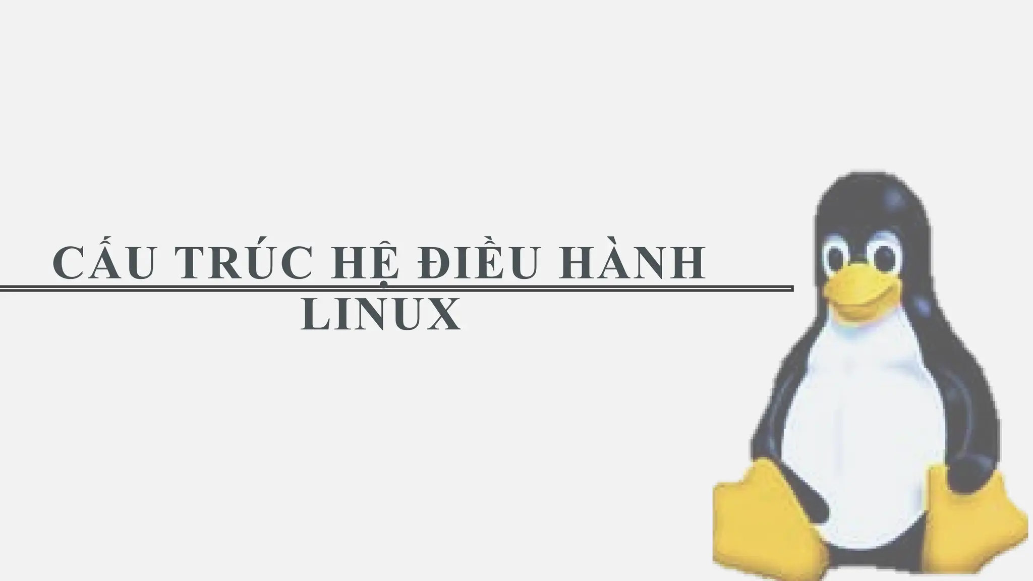 CẤU TRÚC HỆ ĐIỀU HÀNH
LINUX
 
