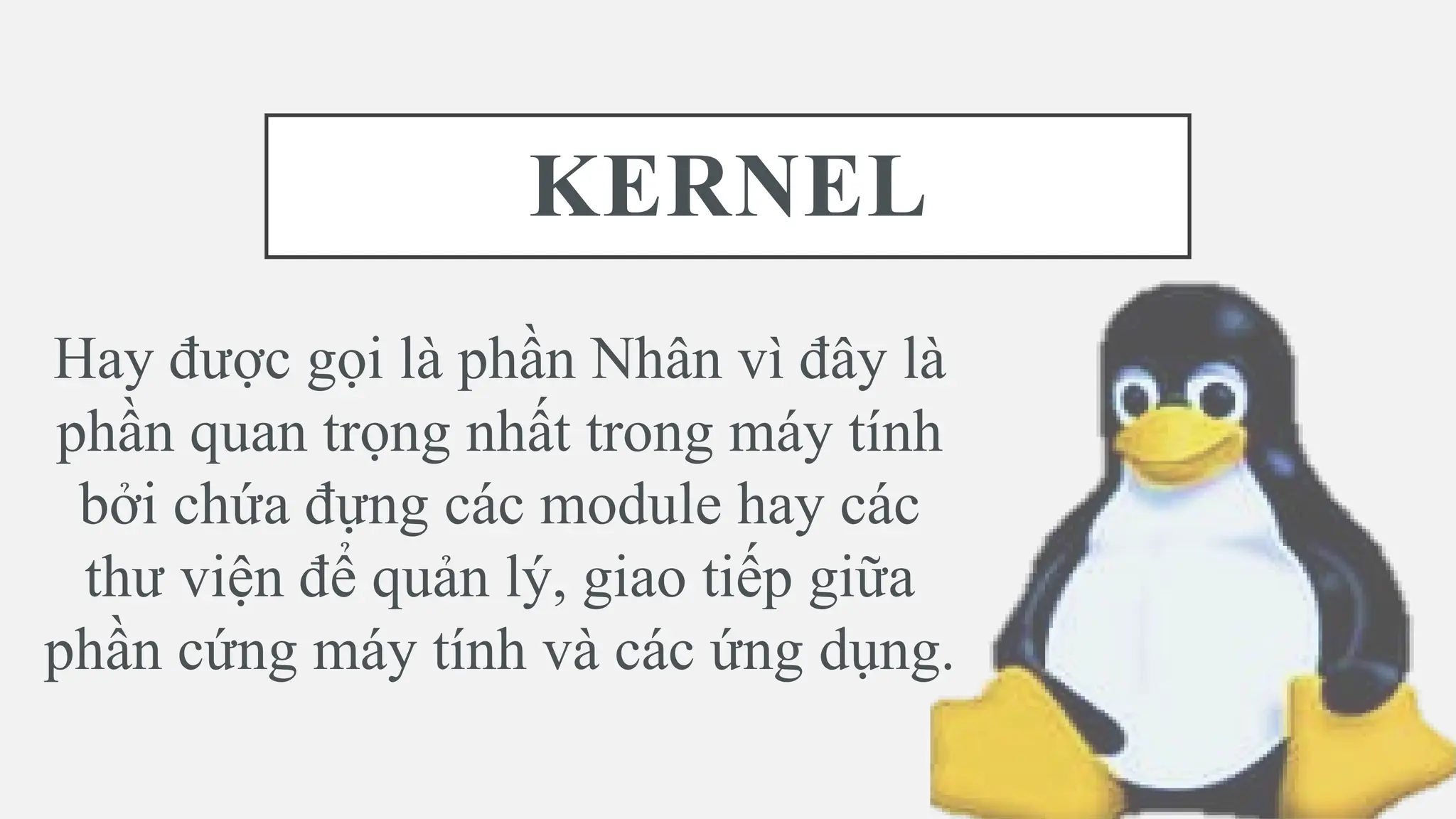 KERNEL
Hay được gọi là phần Nhân vì đây là
phần quan trọng nhất trong máy tính
bởi chứa đựng các module hay các
thư viện để quản lý, giao tiếp giữa
phần cứng máy tính và các ứng dụng.
 