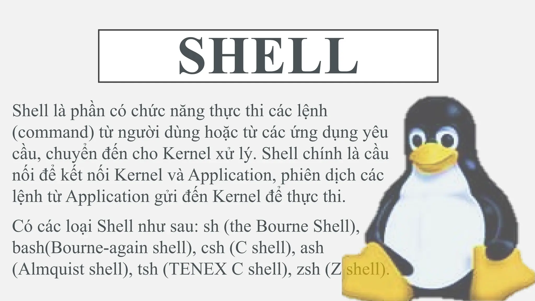 SHELL
Shell là phần có chức năng thực thi các lệnh
(command) từ người dùng hoặc từ các ứng dụng yêu
cầu, chuyển đến cho Kernel xử lý. Shell chính là cầu
nối để kết nối Kernel và Application, phiên dịch các
lệnh từ Application gửi đến Kernel để thực thi.
Có các loại Shell như sau: sh (the Bourne Shell),
bash(Bourne-again shell), csh (C shell), ash
(Almquist shell), tsh (TENEX C shell), zsh (Z shell).
 