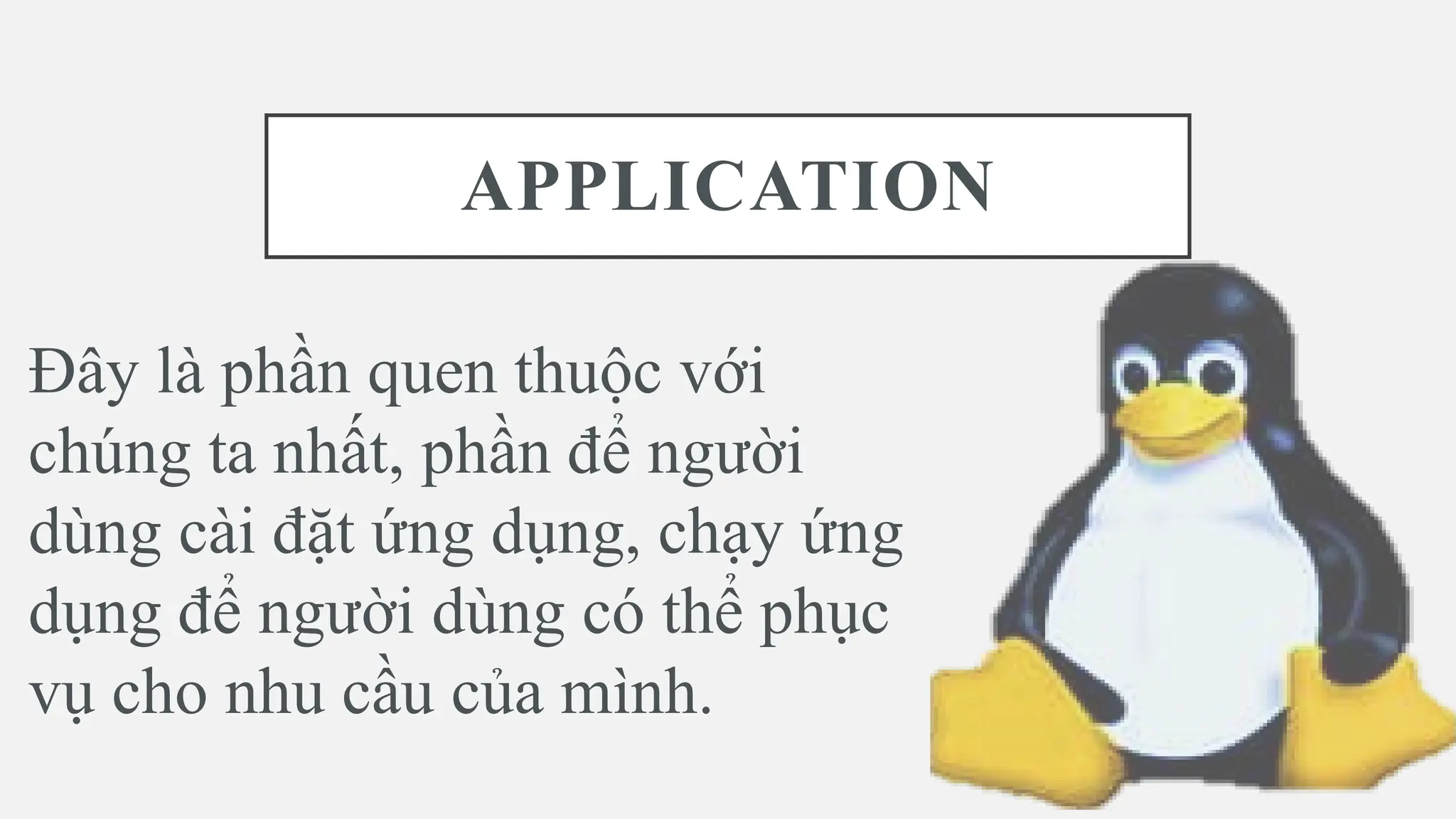 APPLICATION
Đây là phần quen thuộc với
chúng ta nhất, phần để người
dùng cài đặt ứng dụng, chạy ứng
dụng để người dùng có thể phục
vụ cho nhu cầu của mình.
 