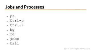 Jobs and Processes
● ps
● Ctrl-c
● Ctrl-Z
● bg
● fg
● jobs
● kill
 