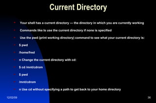 Current Directory Your shell has a current directory — the directory in which you are currently working Commands like ls use the current directory if none is specified Use the pwd (print working directory) command to see what your current directory is: $ pwd /home/fred n Change the current directory with cd: $ cd /mnt/cdrom $ pwd /mnt/cdrom n Use cd without specifying a path to get back to your home directory 