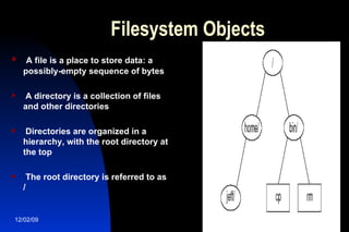 Filesystem Objects A file is a place to store data: a possibly-empty sequence of bytes A directory is a collection of files and other directories Directories are organized in a hierarchy, with the root directory at the top The root directory is referred to as / 
