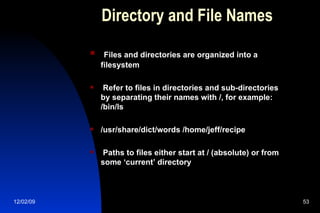 Directory and File Names Files and directories are organized into a filesystem Refer to files in directories and sub-directories by separating their names with /, for example: /bin/ls /usr/share/dict/words /home/jeff/recipe Paths to files either start at / (absolute) or from some ‘current’ directory 