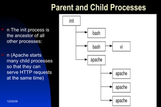 Parent and Child Processes n The init process is the ancestor of all other processes: n (Apache starts many child processes so that they can serve HTTP requests at the same time) 