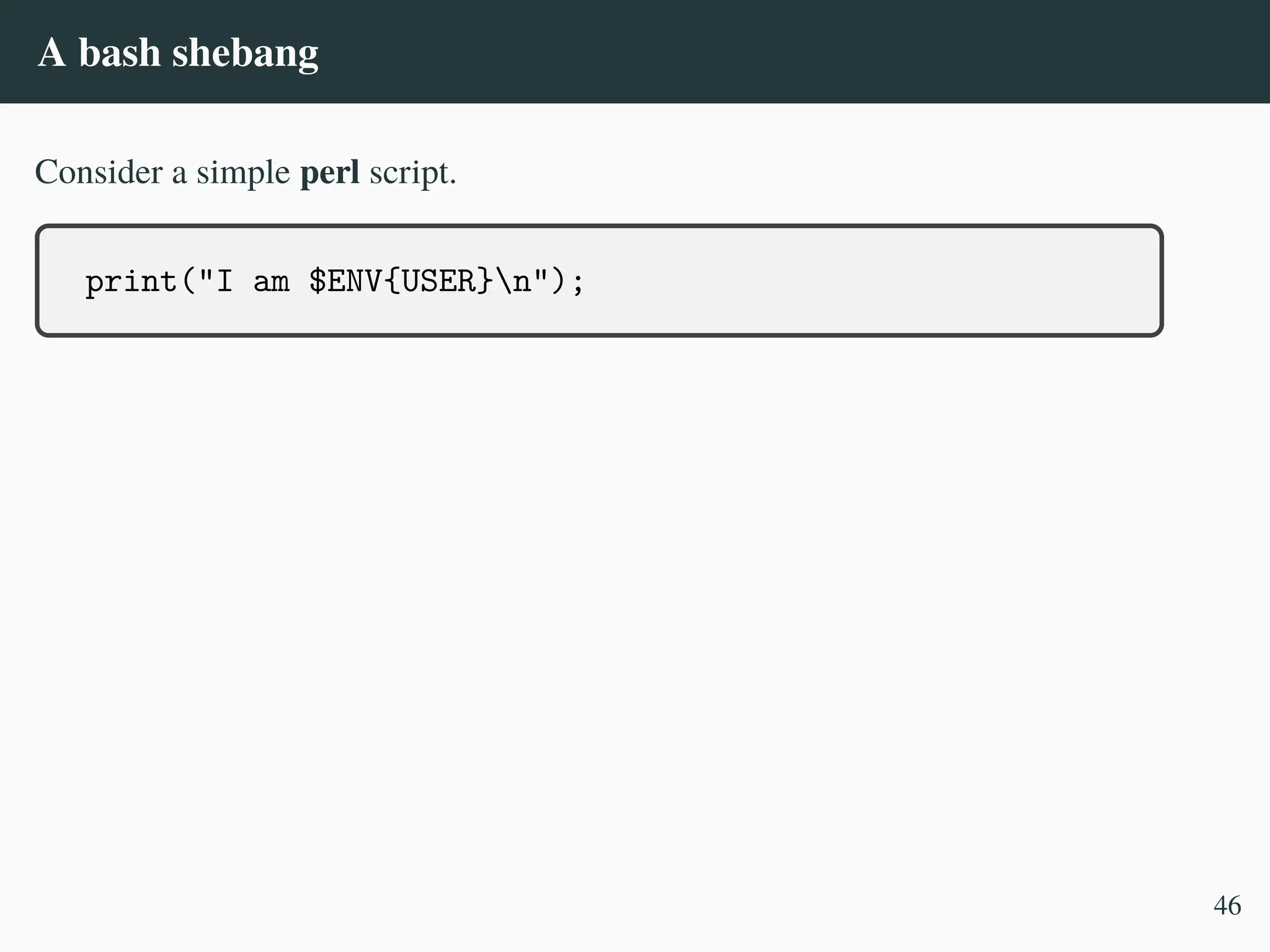 A bash shebang
Consider a simple perl script.
print("I am $ENV{USER}n");
46
 