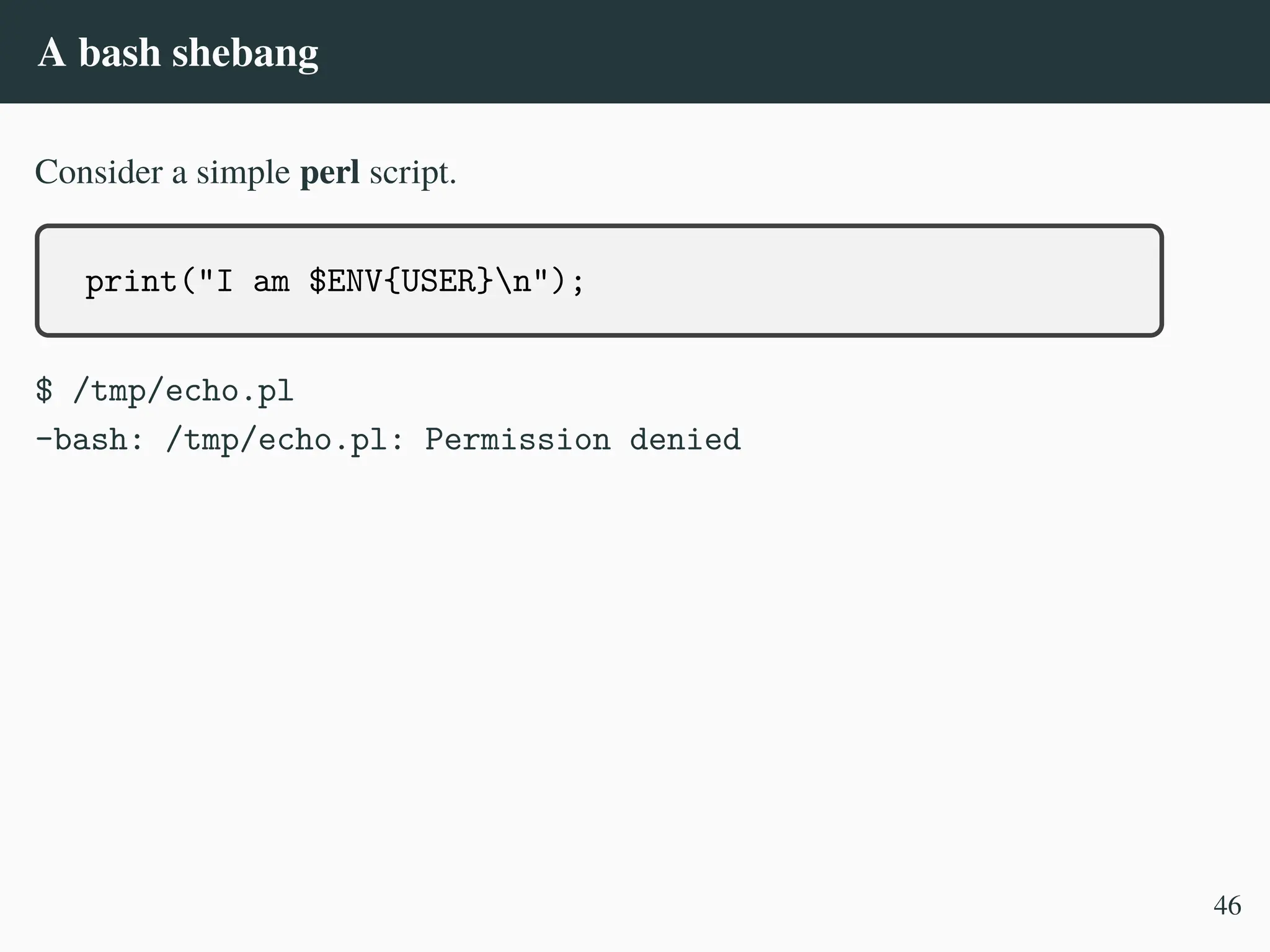 A bash shebang
Consider a simple perl script.
print("I am $ENV{USER}n");
$ /tmp/echo.pl
-bash: /tmp/echo.pl: Permission denied
46
 