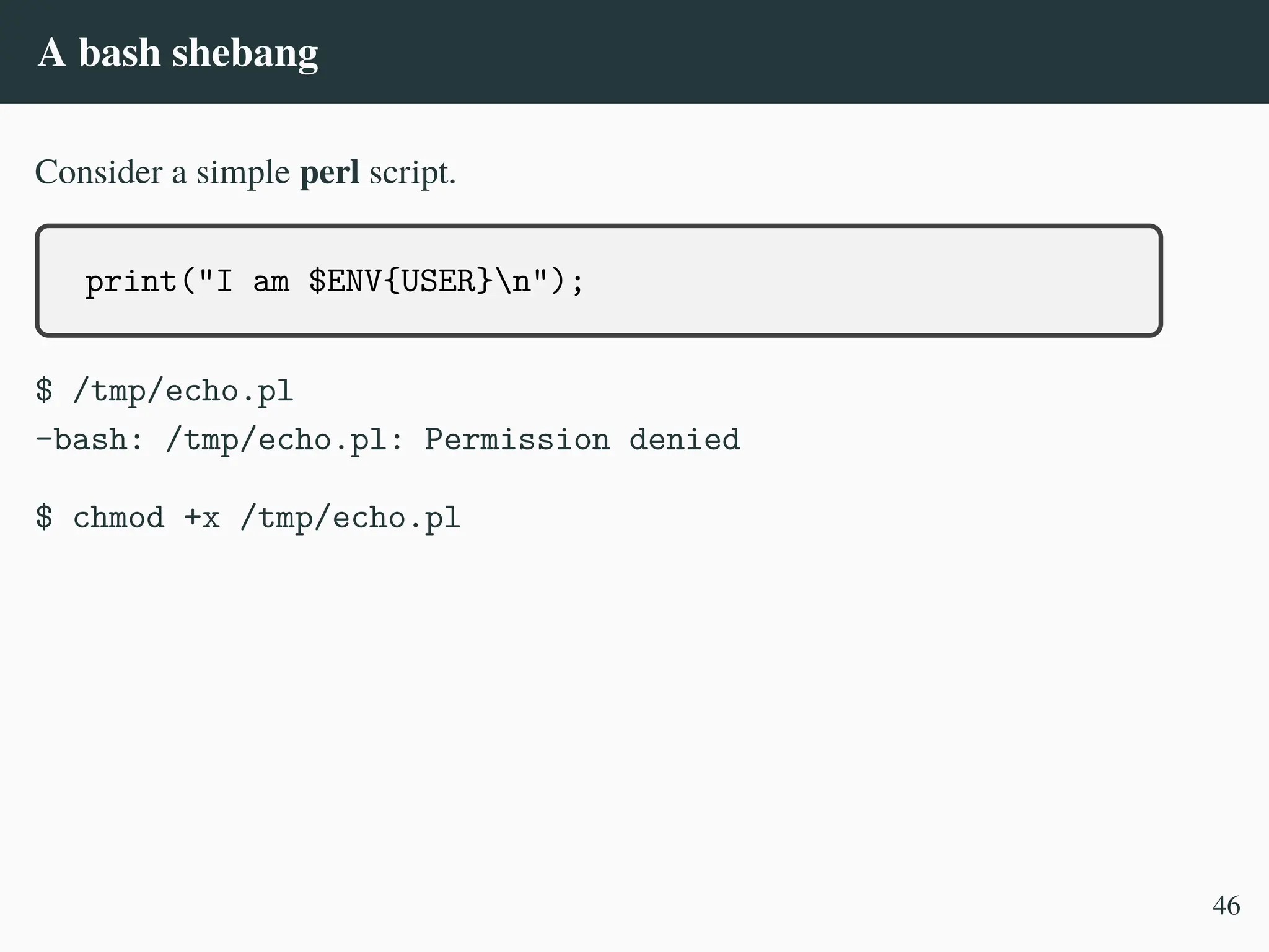 A bash shebang
Consider a simple perl script.
print("I am $ENV{USER}n");
$ /tmp/echo.pl
-bash: /tmp/echo.pl: Permission denied
$ chmod +x /tmp/echo.pl
46
 