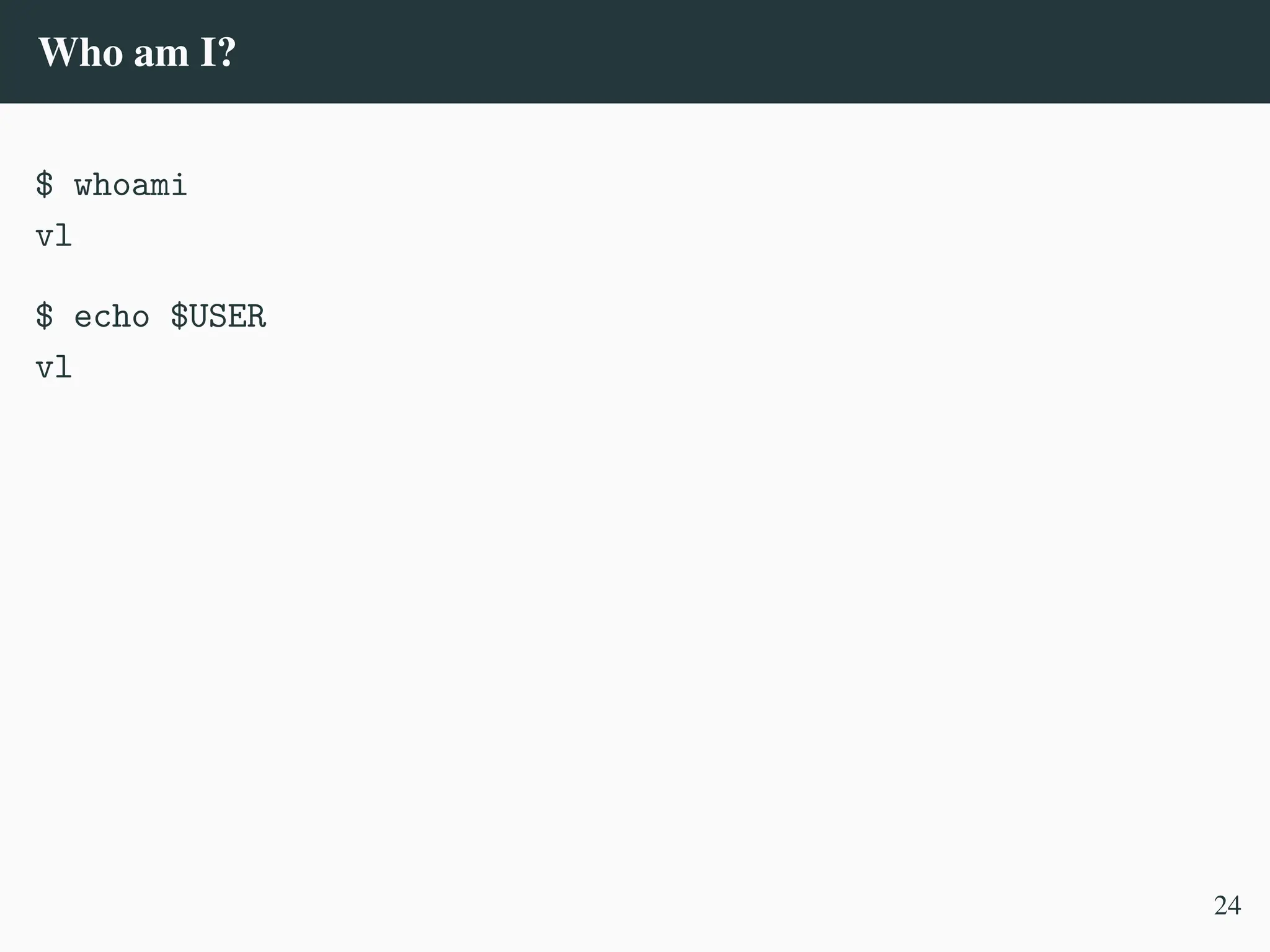 Who am I?
$ whoami
vl
$ echo $USER
vl
24
 