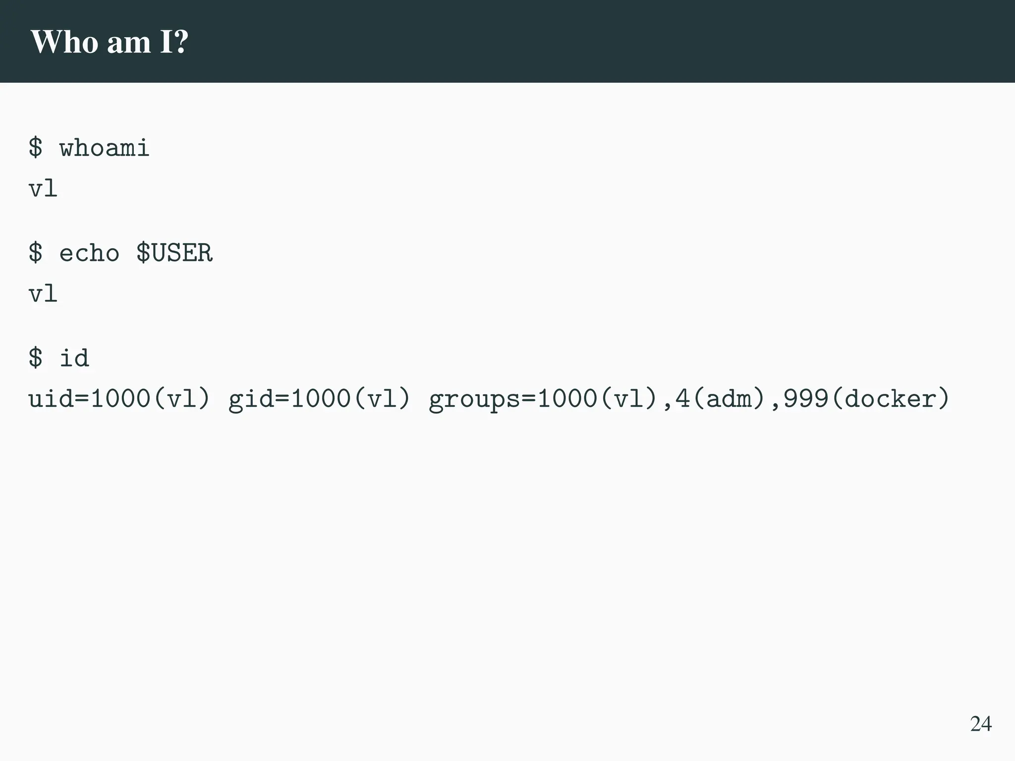 Who am I?
$ whoami
vl
$ echo $USER
vl
$ id
uid=1000(vl) gid=1000(vl) groups=1000(vl),4(adm),999(docker)
24
 