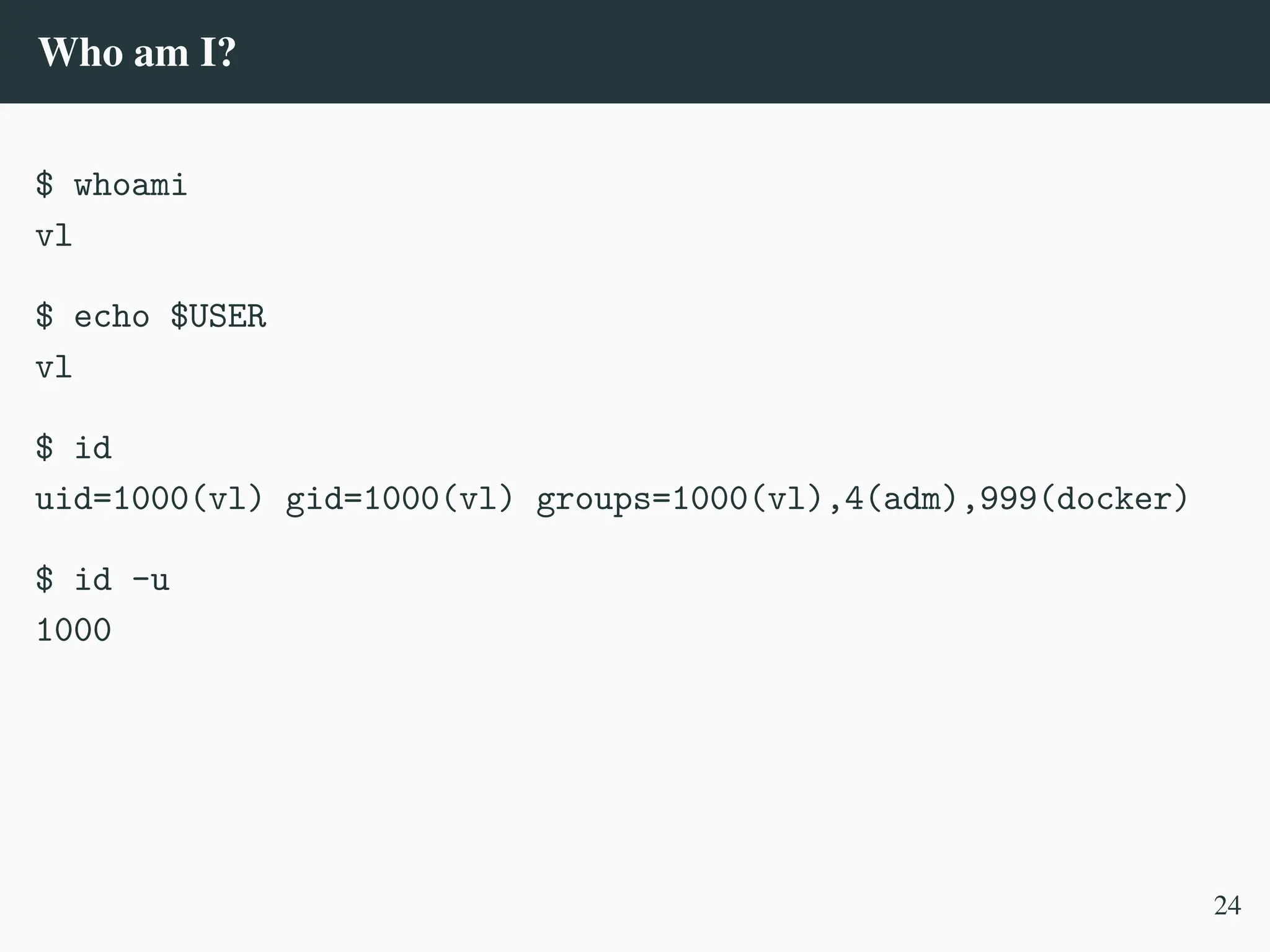 Who am I?
$ whoami
vl
$ echo $USER
vl
$ id
uid=1000(vl) gid=1000(vl) groups=1000(vl),4(adm),999(docker)
$ id -u
1000
24
 
