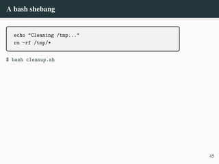 A bash shebang
echo "Cleaning /tmp..."
rm -rf /tmp/*
$ bash cleanup.sh
45
 