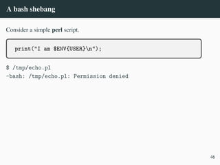 A bash shebang
Consider a simple perl script.
print("I am $ENV{USER}n");
$ /tmp/echo.pl
-bash: /tmp/echo.pl: Permission denied
46
 