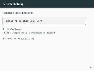 A bash shebang
Consider a simple perl script.
print("I am $ENV{USER}n");
$ /tmp/echo.pl
-bash: /tmp/echo.pl: Permission denied
$ chmod +x /tmp/echo.pl
46
 
