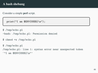 A bash shebang
Consider a simple perl script.
print("I am $ENV{USER}n");
$ /tmp/echo.pl
-bash: /tmp/echo.pl: Permission denied
$ chmod +x /tmp/echo.pl
$ /tmp/echo.pl
/tmp/echo.pl: line 1: syntax error near unexpected token
`"I am $ENV{USER}n"'
46
 