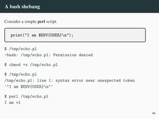 A bash shebang
Consider a simple perl script.
print("I am $ENV{USER}n");
$ /tmp/echo.pl
-bash: /tmp/echo.pl: Permission denied
$ chmod +x /tmp/echo.pl
$ /tmp/echo.pl
/tmp/echo.pl: line 1: syntax error near unexpected token
`"I am $ENV{USER}n"'
$ perl /tmp/echo.pl
I am vl
46
 