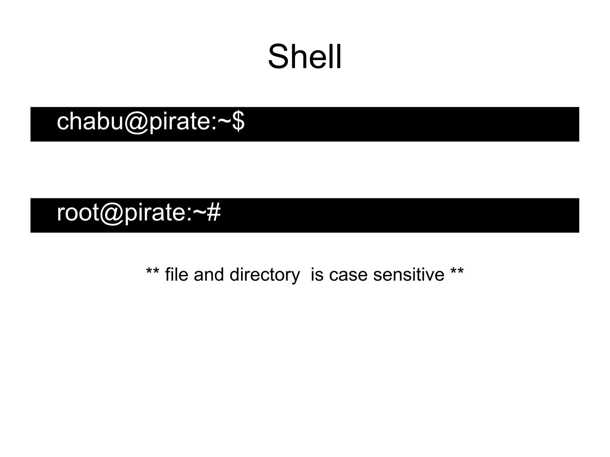 Shell
chabu@pirate:~$


root@pirate:~#

       ** file and directory is case sensitive **
 