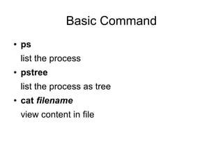 Basic Command
●   ps
    list the process
●   pstree
    list the process as tree
●   cat filename
    view content in file
 