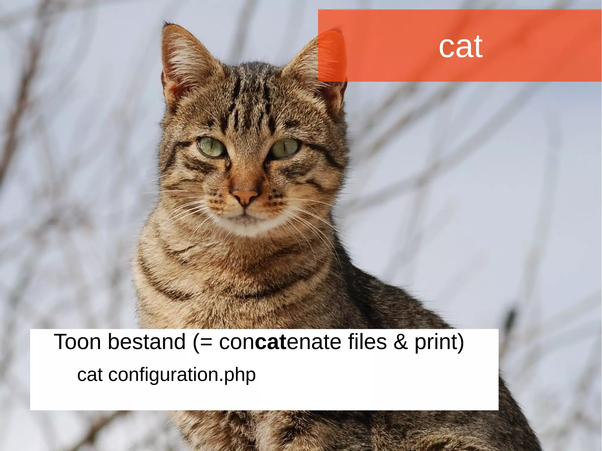 Joomladagen 2015Joomladagen 2015
cat
Toon bestand (= concatenate files & print)
cat configuration.php
 